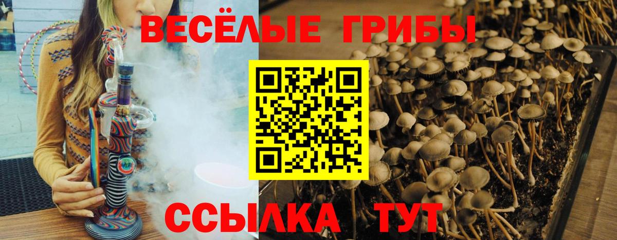Галлюциногенные грибы прущие грибы Бугуруслан